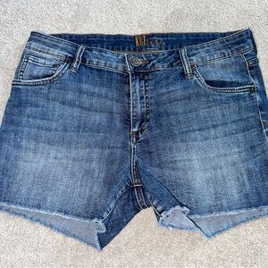 Kut from the Kloth Medium Blue Jean Shorts